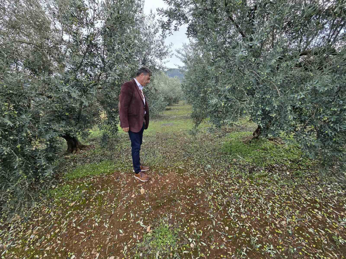 Χαλαζόπτωση στην Πελοπόννησο: Κλιμάκια του ΕΛΓΑ σε δράση για άμεση καταγραφή ζημιών