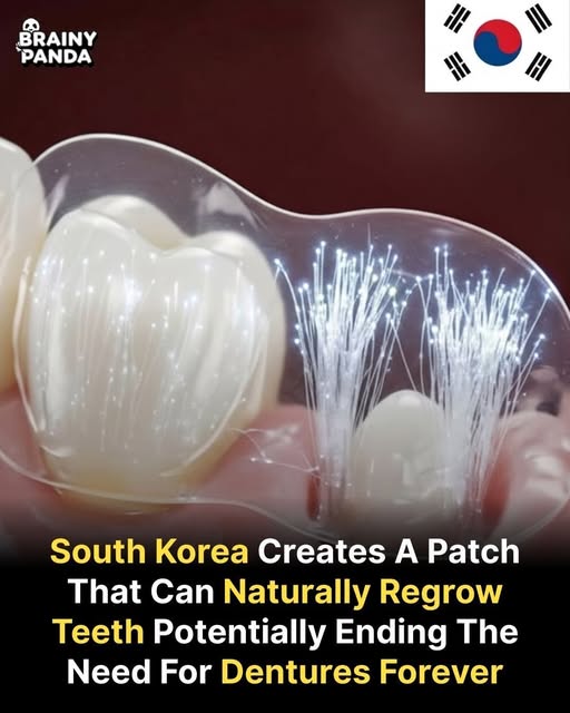 Επανάσταση στην Οδοντιατρική: Νέο έμπλαστρο αναγεννά φυσικά τα δόντια των ενηλίκων