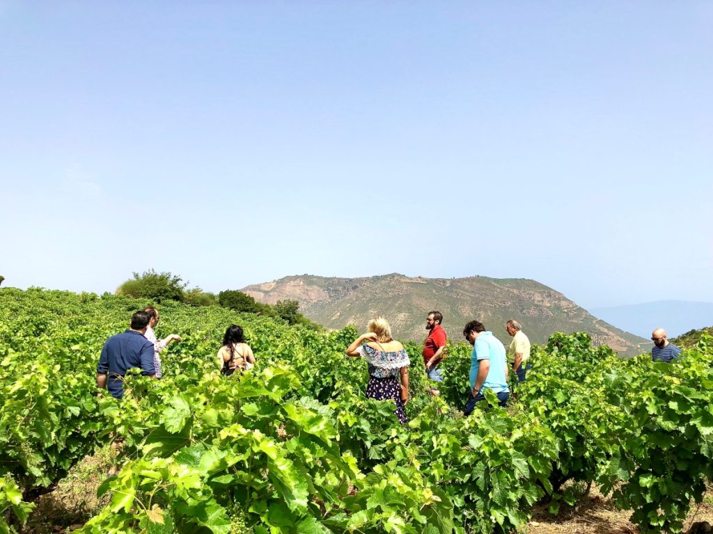Πελοπόννησος: Ανοιχτοί αμπελώνες και οινοποιεία για τον εορτασμό της Παγκόσμιας Ημέρας Οινοτουρισμού