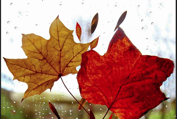 Καιρός: Καταιγίδες μέχρι την Πέμπτη, ανάπαυλα την Παρασκευή – Νέα επιδείνωση το Σάββατο