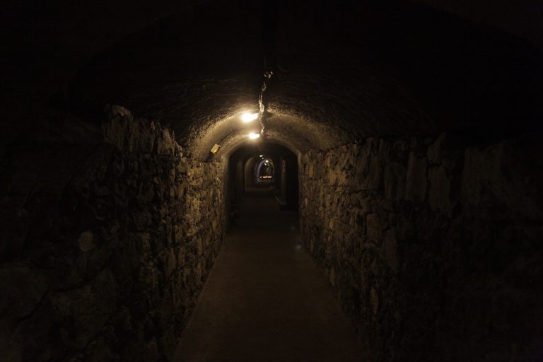 Καταφύγια περασμένων δεκαετιών – Η Ελλάδα με 3.000 χώρους προστασίας, αλλά χωρίς επάρκεια και συντήρηση